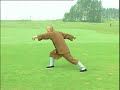 shaolin  pao chui