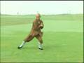 Shaolin Pao Chui