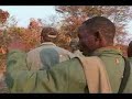 New Lion Hunt/Attack Video.