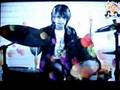 Sanctuary - Callalily