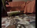 28112008022.mp4 28112008022.mp4