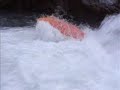 Creeking Kurs