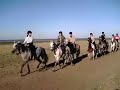 moi a cheval sur la plage