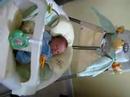 Teddy in his swing for 1st time Teddy in his swing for 1st time