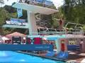 2008 Diving 3m Woodlands Girls at Nationals