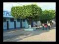 Los Amates Izabal