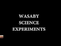 mind playing tricks science project mind playing tricks science project