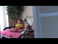 Spying on the kids
