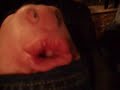 Matt\ Matt\