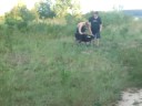dtf thorn bush wheelbarrel dtf thorn bush wheelbarrel