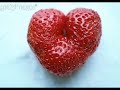 love you so by natalie