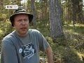 Journal Reporter | Großreinemachen in Estland