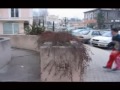 parkour best free run ever