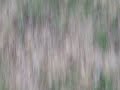 ridin Manele-Gratis.net
