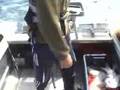 NZ FISHING JUST OFF KAPITI