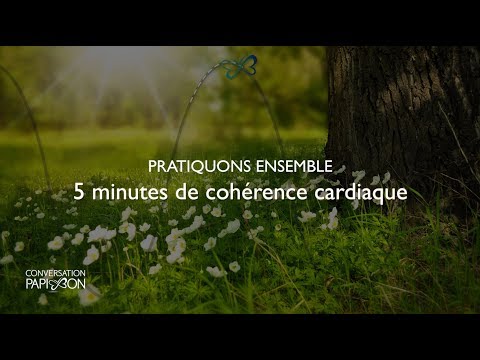 Image de prévisualisation YouTube