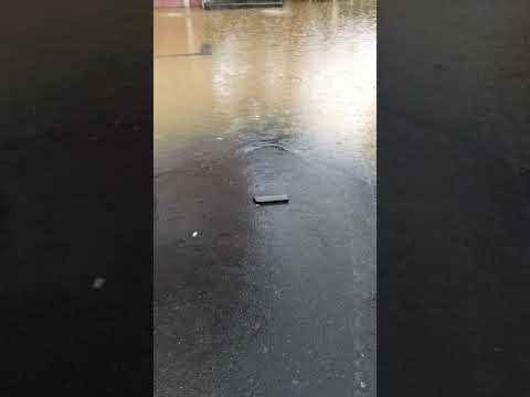 A enchente de ontem pegou nós de surpresa