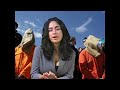 Brain Washing, Mind Control, Torture, Guantanamo, Mk Ultra