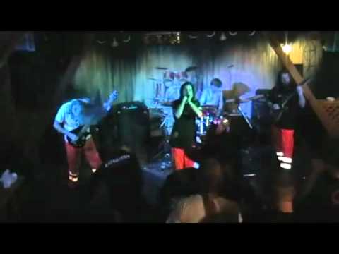 Video Ďateľ nemá šancu 2011
