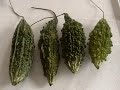 203 CURRIED STUFFED KARELA OR BITTER MELON
