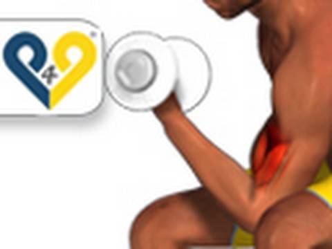 musculation biceps Curl concentré