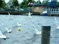 RC-Laser Sailboat Race