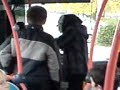 ...Happy Halloween... im ladenburger-weststadt bus !