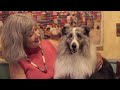 The Pawsitive Pals Pet Therapy Program at San Diego Hospice and The Institute for Palliative Medicine (www.sdhospice.org has a remarkable way of connecting with patients on a very special level. This video features certified dogs of all shapes, sizes, and breeds who show how they reduce loneliness, depression, stress, and isolation while promoting relaxation and improved morale. Support our life-affirming mission through your gifts of time, talent and treasures. Learn more: www.sdhospice.org