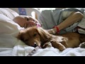 Pawsitive Pals San Diego Hospice Pet Therapy Program