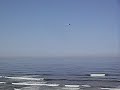 Helicopter alerting in SD area after a shark attack