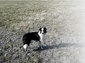 pippi spiller snuteball