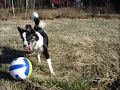 pippi spiller snuteball