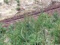 downhill