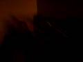 videos de 9800GX2 FTW -Leonhart-