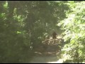 yfz ltr 450