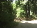 yfz ltr 450 yfz ltr 450