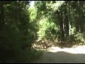 yfz ltr 450