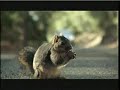 Funniest Super Bowl Commercial 2008 Bridgestone