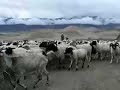 Tibet - Road to Samye Tibet - Road to Samye