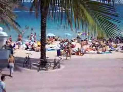 Ft Lauderdale Beach