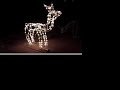 Lighted Reindeer (buck)