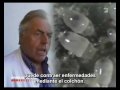 Servicio de limpieza de colchones para hoteles. Elimina ácaros e impurezas.