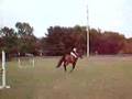 Luvie jumping 3'