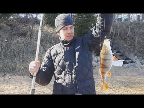 донка на леща на неве донка получи и распишись леща получи неве