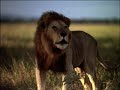 Tanzania