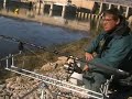 River Ebro catfish