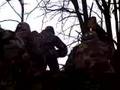  - Piczo Movies Video