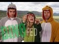 CISPA: A Prehistoric Bill