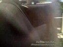 Talking Dogs 5