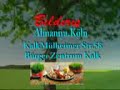 2008 Novruz Bayrami K�ln de